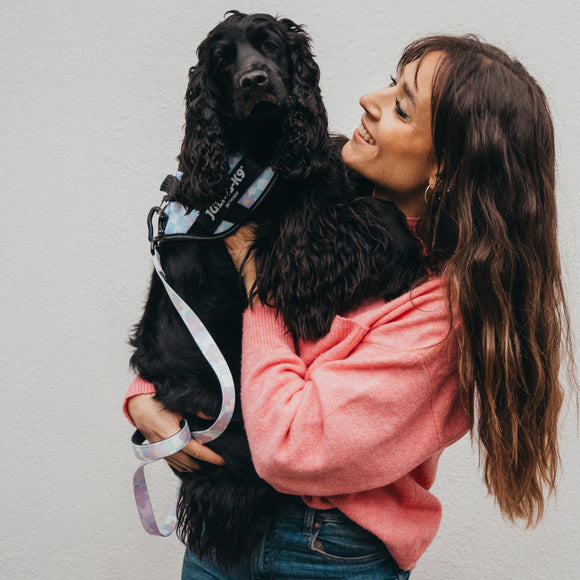 Julius-K9 MoreColor Cartoon Tape Leash 120cm – Neoprene Handle, Floral Design, Comfortable Grip