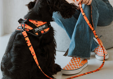 Julius-K9 MoreColor Pixeljuice Leash 120cm – Neoprene Handle, Orange Pixel Tape, Durable Design