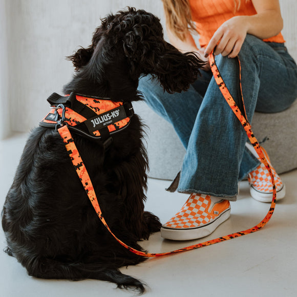 Julius-K9 MoreColor Pixeljuice Leash 120cm – Neoprene Handle, Orange Pixel Tape, Durable Design