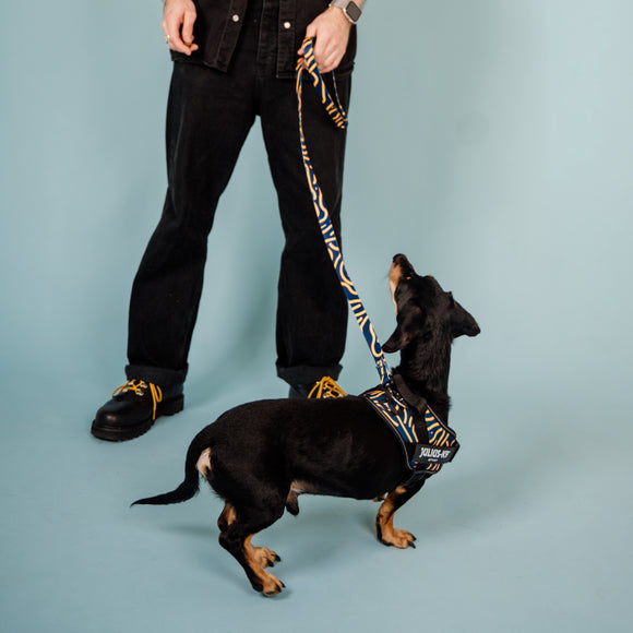 Julius-K9 MoreColor Canyon Leash 120cm – Durable Tape Lead with Neoprene Handle, Vibrant Pattern