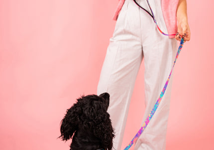 Julius-K9 MoreColor Vibe Tape Leash 120cm – Neoprene Handle, Colorful Palm Tree Design