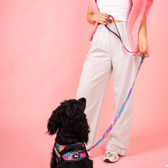 Julius-K9 MoreColor Vibe Tape Leash 120cm – Neoprene Handle, Colorful Palm Tree Design