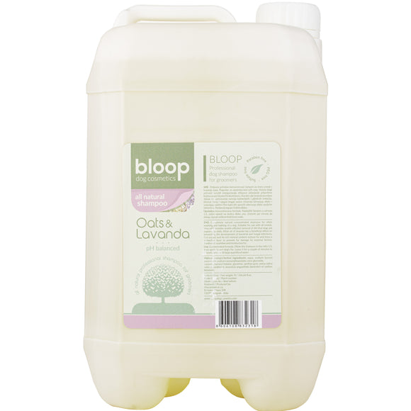 Bloop All Natural Oats & Lavanda Shampoo – Concentrated Gentle Cleanser with Oat Extract and Lavender, 5L