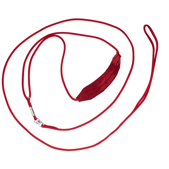 Show Tech Silk Show LED Collar 0.3x100cm – White, Illuminated Professional Dog Ring Accessory