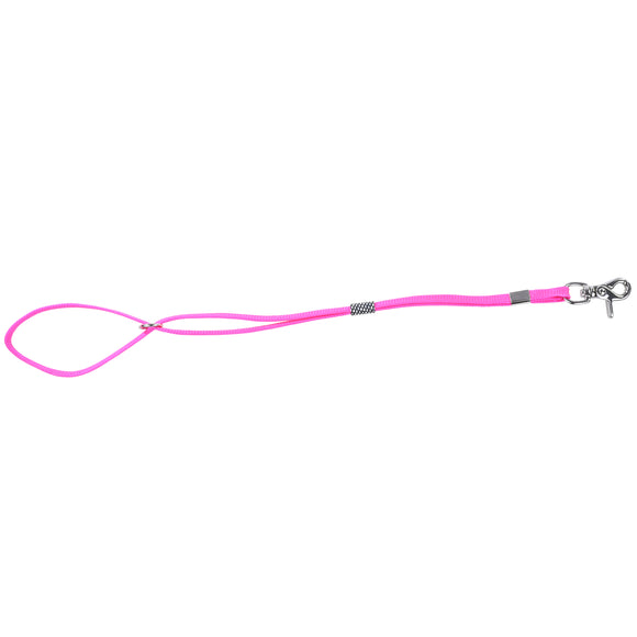 Blovi Nylon Grooming Leash 50cm – Durable Blue Lead with Secure Fastening