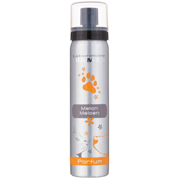 Diamex Melon Perfume 100ml – Refreshing Juicy Melon Scent, Long-Lasting Fragrance