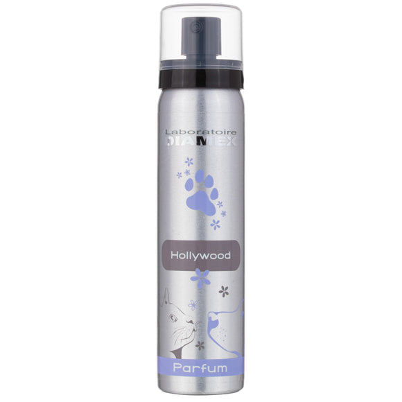 Diamex Hollywood Perfume 100ml – Sweet Spicy Scent, Long-Lasting Fragrance Formula