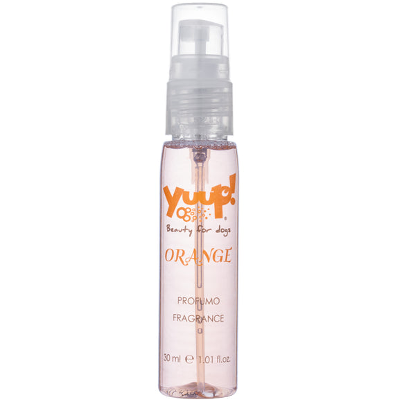 Yuup! Orange Perfume 30ml – Citrus Scented Fragrance, Long-Lasting Freshness