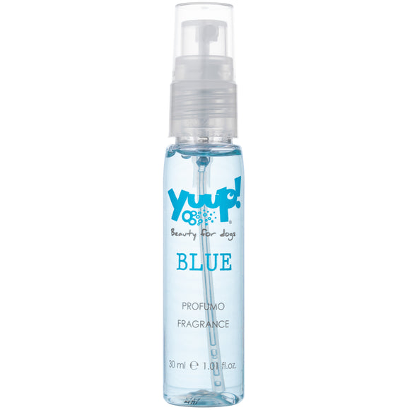 Yuup! Blue Perfume 30ml – Refreshing Scent, Long-Lasting Fragrance Formula