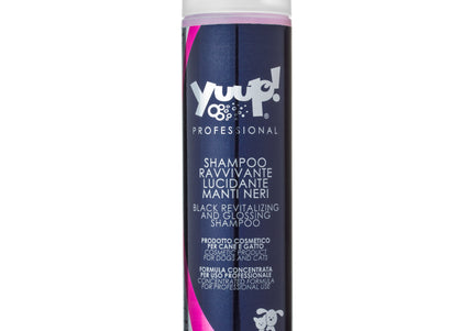 Yuup! Professional Black Revitalizing & Glossing Shampoo – Concentrated Formula, 250ml