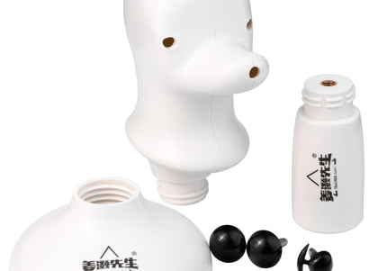 Mr. Jiang Portable Teddy Head Model – Grooming Mannequin Bust with Adjustable Mount