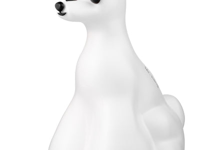 Mr. Jiang Teddy Model Dog Head – Realistic Grooming Mannequin with Full Dog Body Design