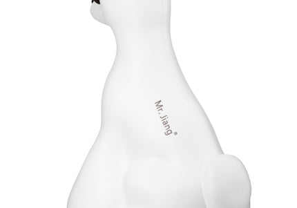 Mr. Jiang Teddy Model Dog Head – Realistic Grooming Mannequin with Full Dog Body Design