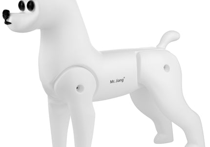 Mr. Jiang Bichon Model Dog – Realistic Training Dummy, Fur-Free Lightweight Design