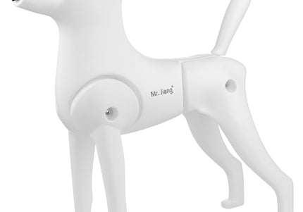 Mr. Jiang Toy Poodle Model Dog – Realistic No-Fur Training Mannequin, Lightweight Design