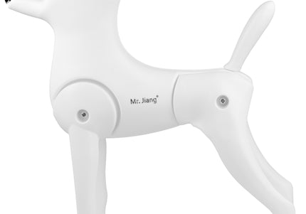 Mr. Jiang Toy Poodle Model Dog – Realistic No-Fur Training Mannequin, Lightweight Design