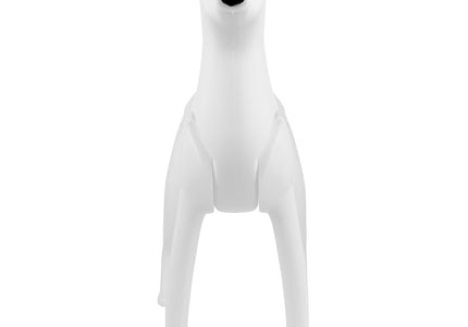 Mr. Jiang Toy Poodle Model Dog – Realistic No-Fur Training Mannequin, Lightweight Design