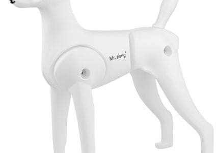 Mr. Jiang Teddy Model Dog – Realistic Grooming Training Dummy, Fur-Free Design
