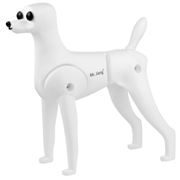 Mr. Jiang Teddy Model Dog – Realistic Grooming Training Dummy, Fur-Free Design