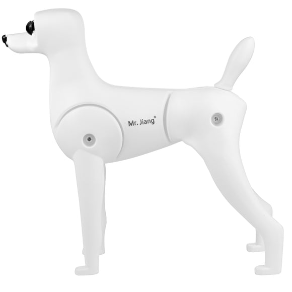 Mr. Jiang Teddy Model Dog – Realistic Grooming Training Dummy, Fur-Free Design