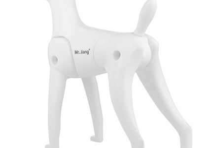Mr. Jiang Teddy Model Dog – Realistic Grooming Training Dummy, Fur-Free Design