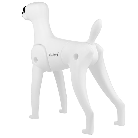 Mr. Jiang Teddy Model Dog – Realistic Grooming Training Dummy, Fur-Free Design
