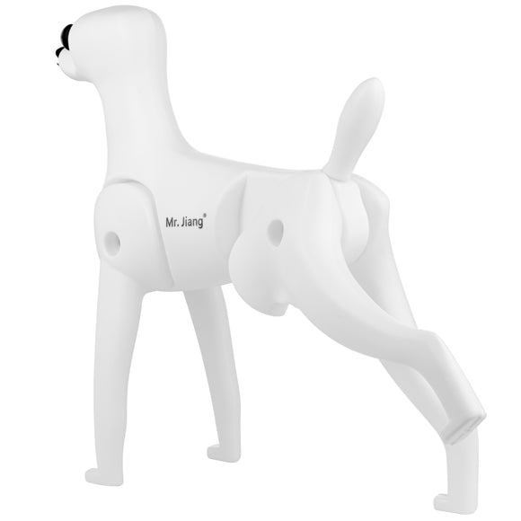 Mr. Jiang Teddy Model Dog – Realistic Grooming Training Dummy, Fur-Free Design