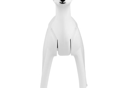 Mr. Jiang Teddy Model Dog – Realistic Grooming Training Dummy, Fur-Free Design