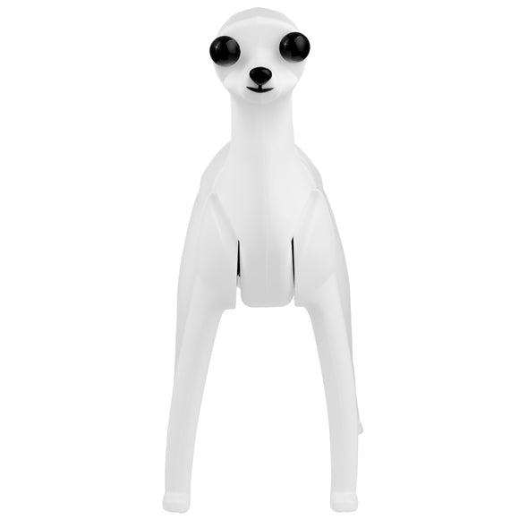 Mr. Jiang Teddy Model Dog – Realistic Grooming Training Dummy, Fur-Free Design