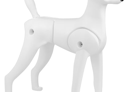Mr. Jiang Teddy Model Dog – Realistic Grooming Training Dummy, Fur-Free Design