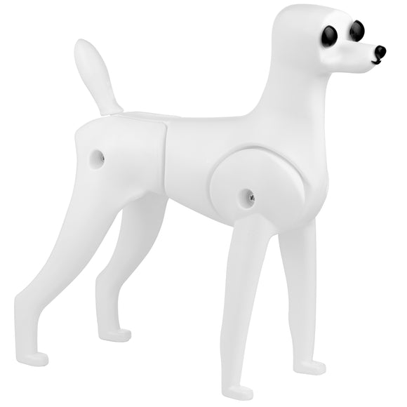 Mr. Jiang Teddy Model Dog – Realistic Grooming Training Dummy, Fur-Free Design