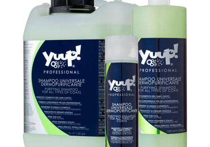 Yuup! Professional Purifying Shampoo – Universal Concentrate 1:20, Deep Cleansing Formula, 10L