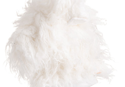 Mr. Jiang Bichon Head Hair – Soft Replacement Fiber for Grooming Practice Head