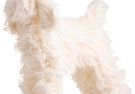 Mr. Jiang Teddy Full Body Replacement Hair – Cream Synthetic Coat for Grooming Mannequin