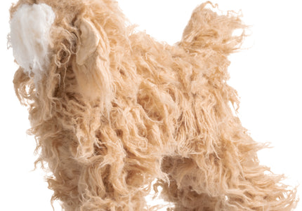 Mr. Jiang Teddy Full Body Replacement Hair – Beige with White Muzzle, Realistic Texture