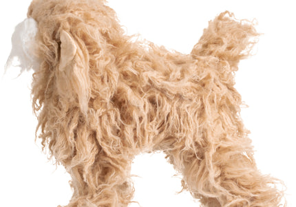Mr. Jiang Teddy Full Body Replacement Hair – Beige with White Muzzle, Realistic Texture