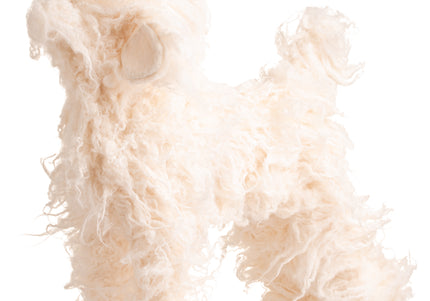 Mr. Jiang Poodle Full Body Hair Lamb – Cream Replacement Fur, Realistic Texture for Grooming Mannequin