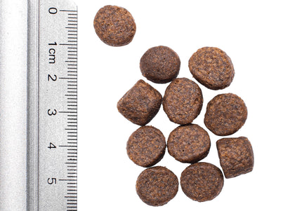 Simpsons Premium Adult Sensitive Salmon and Potato Dog Food Sample 100g – Hypoallergenic, Grain-Free Formula