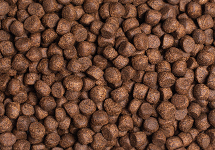 Simpsons Premium Adult Sensitive Salmon and Potato Dog Food Sample 100g – Hypoallergenic, Grain-Free Formula