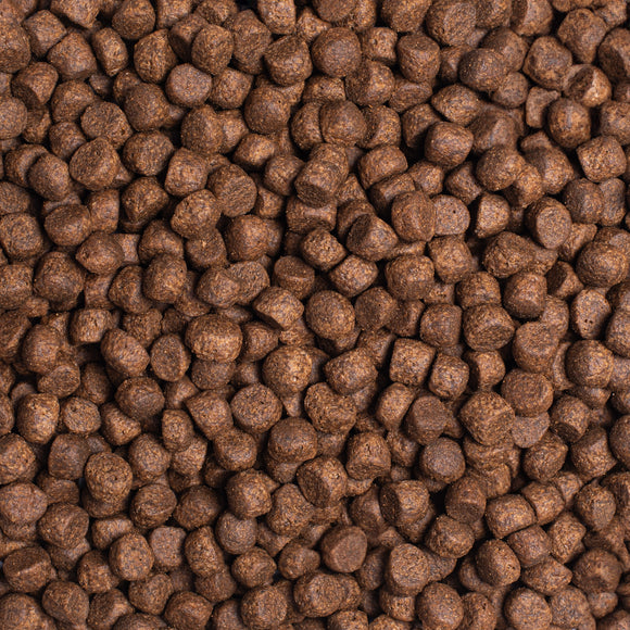 Simpsons Premium Adult Sensitive Salmon and Potato Dog Food Sample 100g – Hypoallergenic, Grain-Free Formula