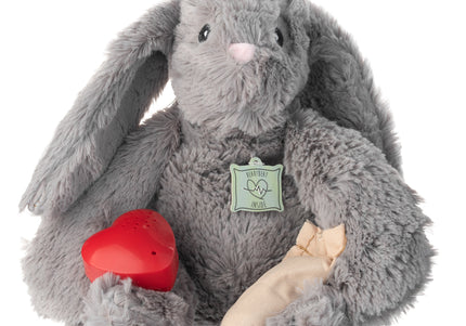 Holland Heartwarming Buddy Plush Bunny – Calming Dog Toy with Heartbeat Imitation, Brown