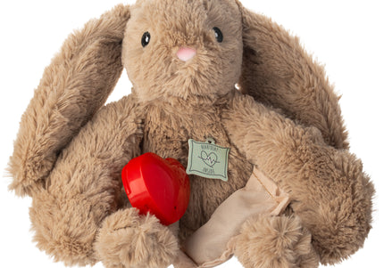 Holland Heartwarming Buddy Plush Bunny – Calming Dog Toy with Heartbeat Imitation, Brown