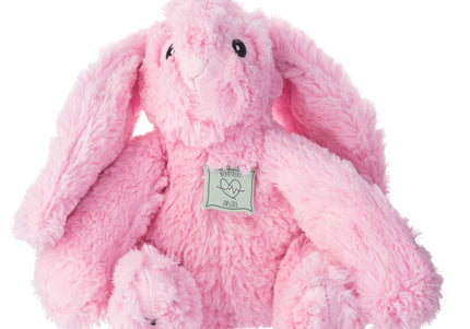 Holland Heartwarming Buddy Plush Bunny – Calming Dog Toy with Heartbeat Imitation, Brown