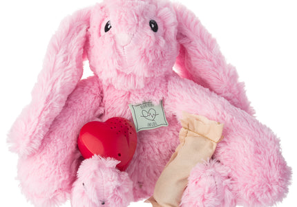 Holland Heartwarming Buddy Plush Bunny – Calming Dog Toy with Heartbeat Imitation, Brown