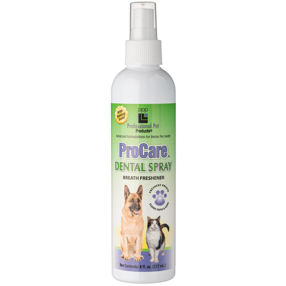 PPP ProCare Dental Spray 237ml – Fast-Acting Oral Hygiene Formula, Freshens Breath