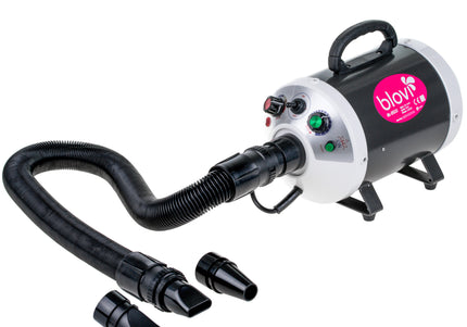 Blovi Cosmo Ionic Dryer 2000W – Table Dryer with Ionization, Smooth Airflow, Adjustable Temperature