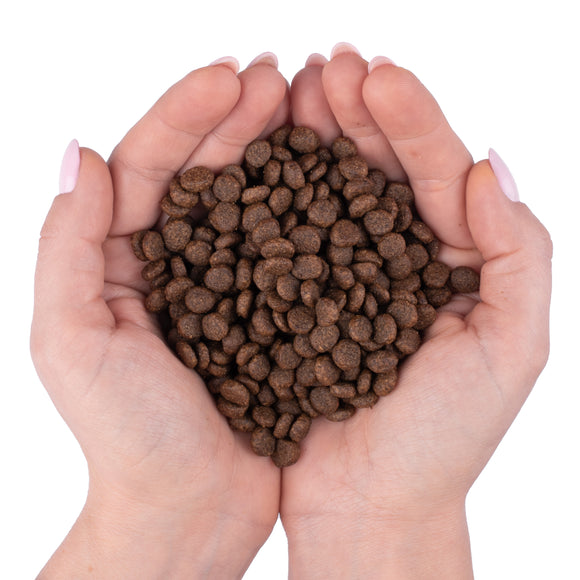 Lovi Food Salmon and Trout Grain-Free Recipe – 100g Sample with Sweet Potatoes and Asparagus