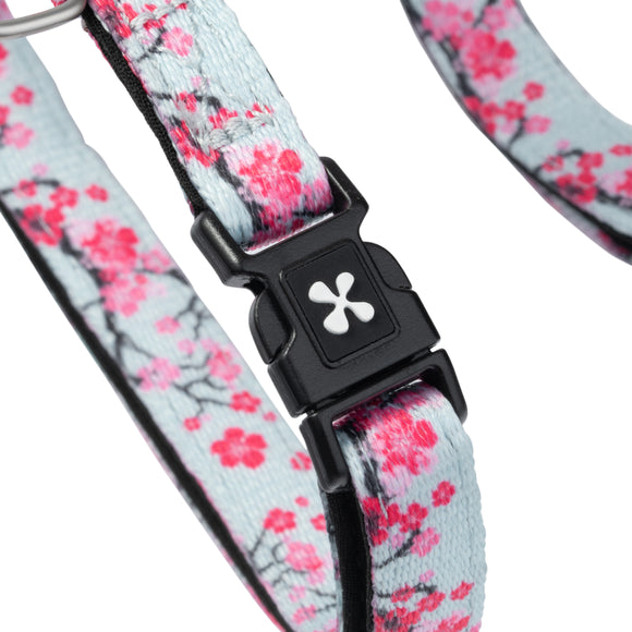 Max&Molly Cat Harness and Leash Set – Cherry Blossom Pattern, Adjustable, Comfortable Fit