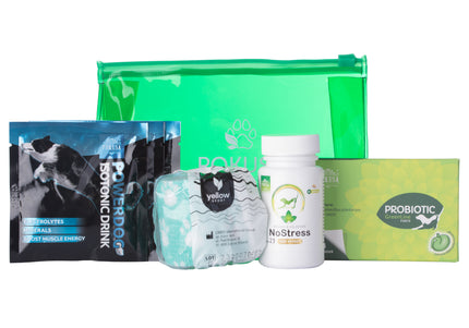 Pokusa First Aid Kit – Comprehensive Travel Medical Set with Essential Supplies, Compact Design