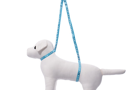Groom Professional Dual Noose Blue – Double Grooming Leash with Dog Paw Design, Adjustable